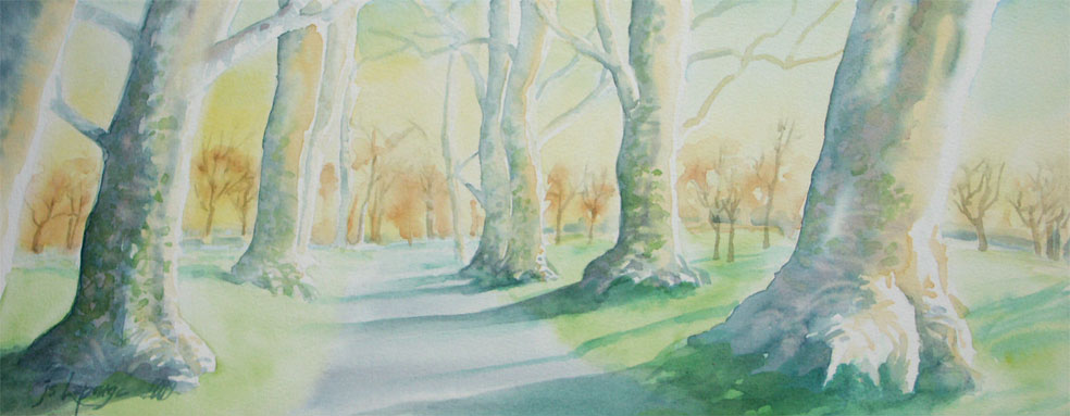 aquarelle, allée de platanes dans la forêt