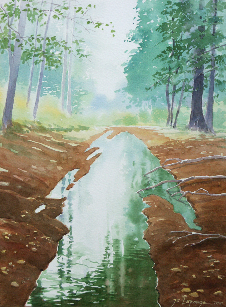 paysage de forêt après la pluie, aquarelle
