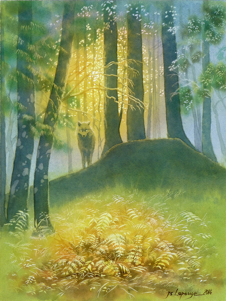 loup dans la forêt
