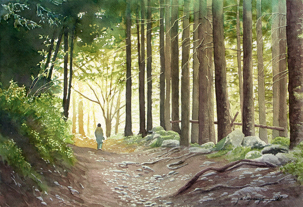 aquarelle- promenade en forêt en Auvergne