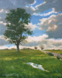 Landscape, Sky  after rain - Oil painting